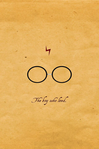 The Legacy of the Boy Who Lived ✨