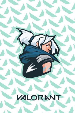 Jett: The Swift Duelist of Valorant ⚡️