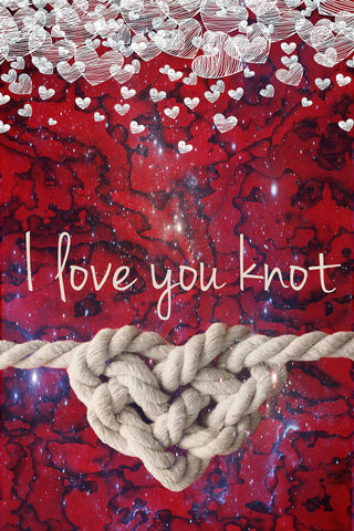 Tied Together in Love ❤️