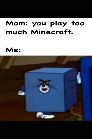 Minecraft Meme