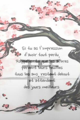 Resilience in Bloom 🌸