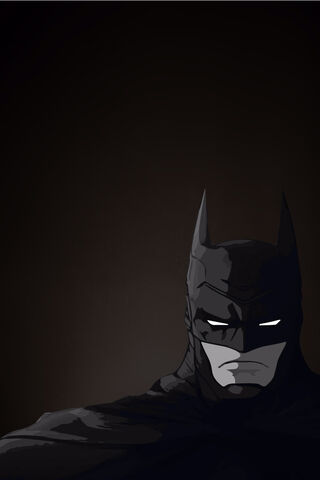 The Dark Knight Rises