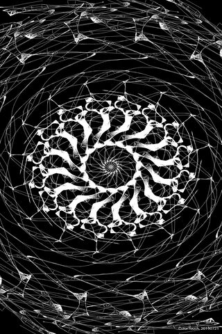 Spirals of Connection: The Art of Webs