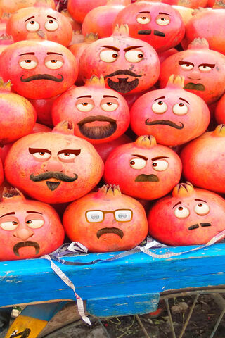 Pomegranate Parade: A Family of Faces! 🍈👨 👩 👧 👦