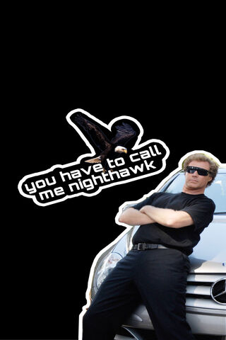 Nighthawk's Bold Stance 🚗🦅