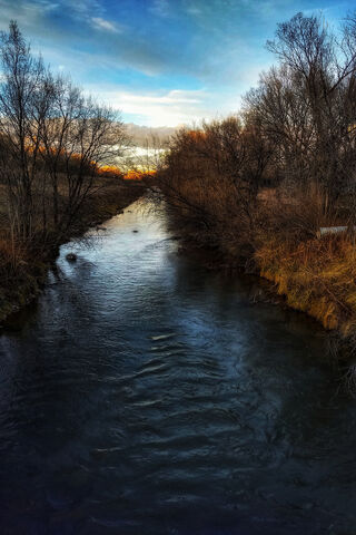 Cubeboy's Tranquil Stream Adventure 🌊✨