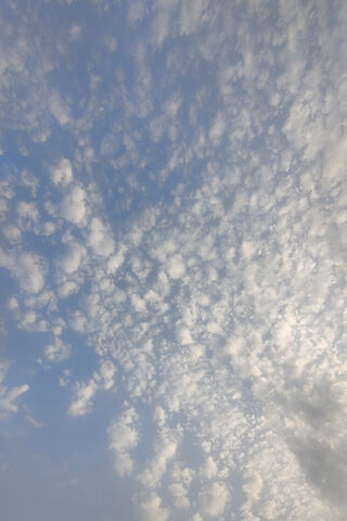 Whispers of the Sky: A Green Wlp Perspective 🌤️