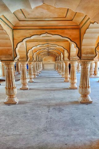 Journey Through the Royal Pathway 🌟