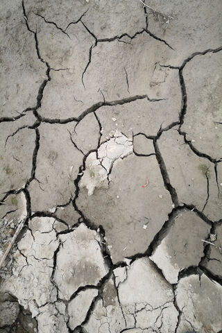 Cracked Earth: A Sign of Drought 🌍💧
