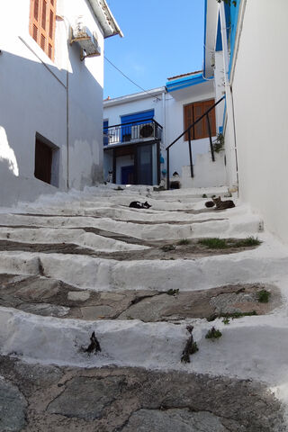 Charming Pathways of Serenity 🌿✨