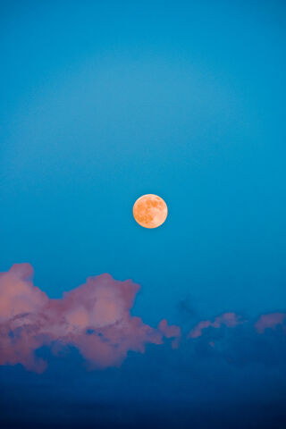 Moonlit Joy 🌙✨