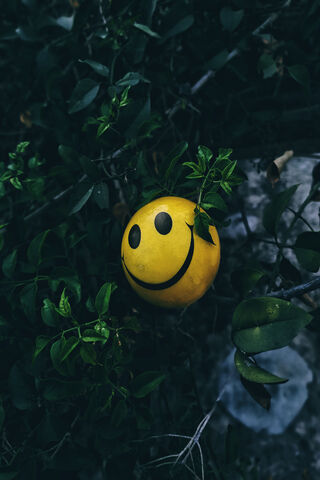 Smiley's Secret Hideaway 🌿😊