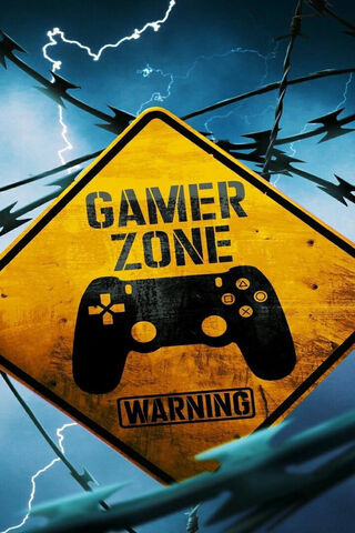 Enter the Gamer Zone: L..