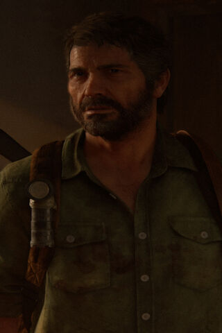 Survivor's Grit: Joel from The Last of Us