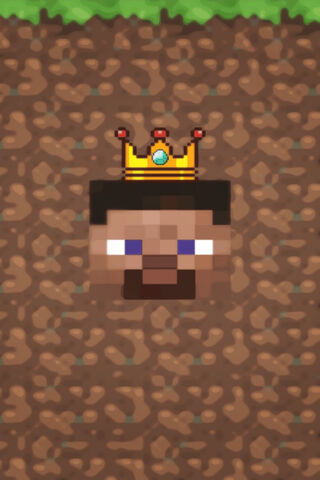 MINECRAFT THE KING