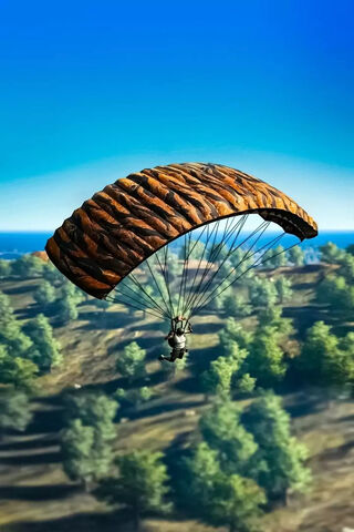 Pubg Landing