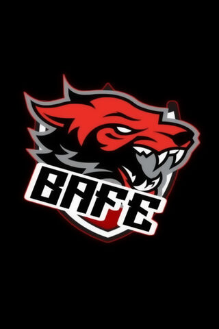 Fierce Spirit of the Game: BAFE Logo