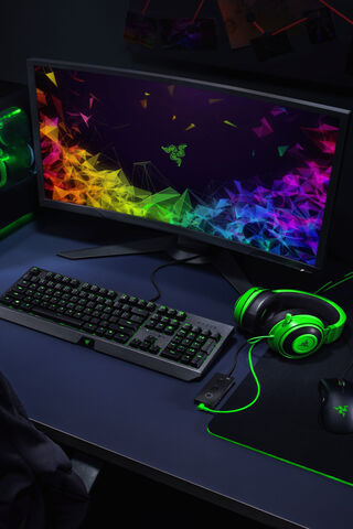 Razer Gaming Setup