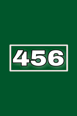 The Final Player: 456