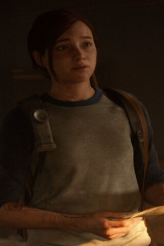 Survivor's Resolve: A Glimpse into a Post-Apocalyptic World