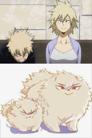 Fierce Fluff: The Angry Bakugou Transformation! 🐾🔥