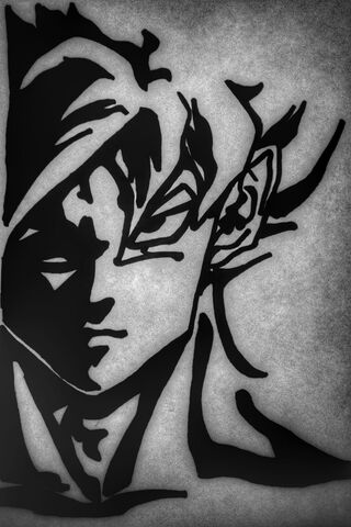 Fury in Shadows: The Anime Boy