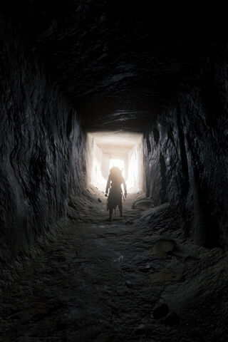 Secrets of the Shadows: A Journey Through the Assassin's Path