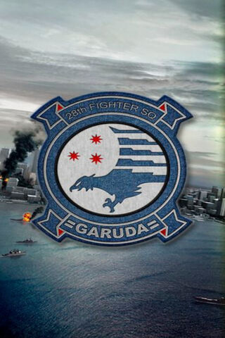 Guardians of the Skies: The Garuda Squadron