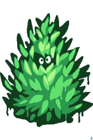 The Mysterious Bush Peek 🌿👀