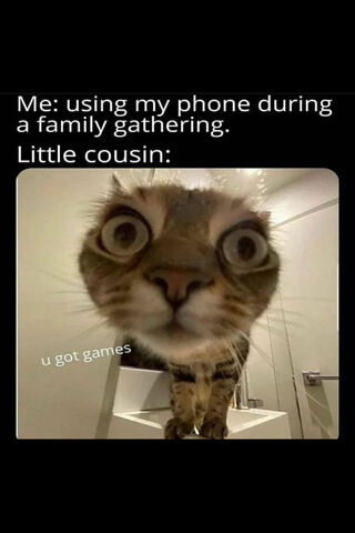 When Family Time Meets Gaming Time 🎮🐱