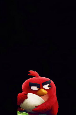 Furious Feathered Friend: The Angry Bird's Quest! 🐦💥