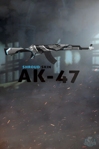 Ak-47 Shroud Skin