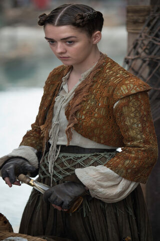 The Brave Journey of Arya Stark 🗡️