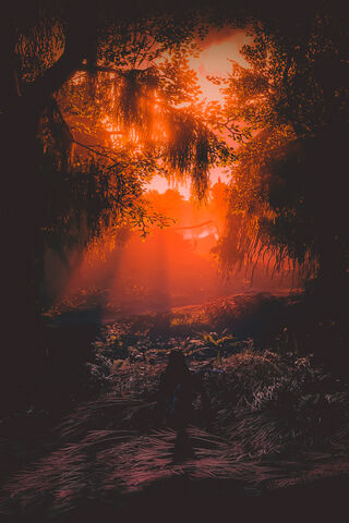 Whispers of the Fiery Grove 🌅