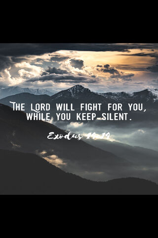 Silent Strength: Trusting in Divine Protection
