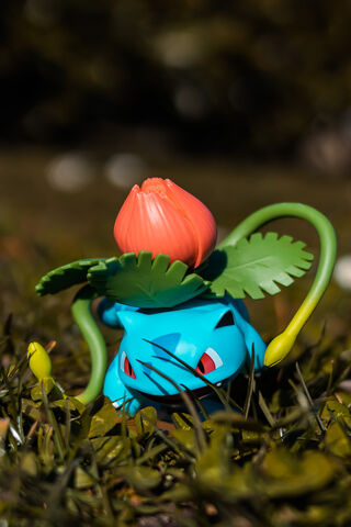 Blooming Power: Venusaur in Nature 🌸🌿