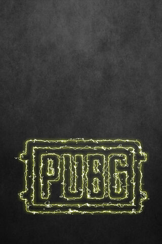 Survival Awaits: The PUBG Experience 🎮🔥