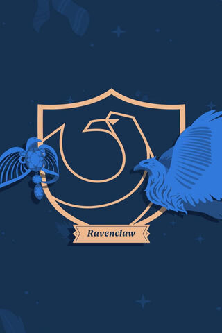 Ravenclaw Aesthetic Wallpapers  Top Free Ravenclaw Aesthetic Backgrounds   WallpaperAccess