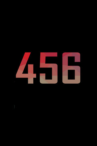 The Final Number: 456