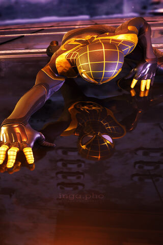 Web-Slinger in Action! 🕷️✨