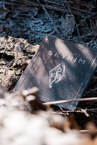 The Elder Scrolls V: Skyrim - A Journey Awaits 📜✨