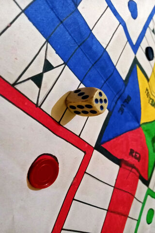 Ludo