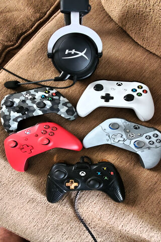 Chill Vibes: Gaming Gear Galore 🎮✨