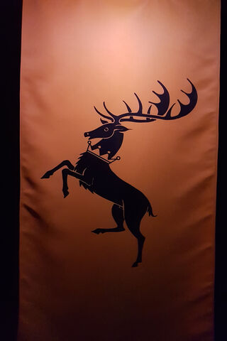 House Baratheon