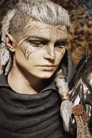 Warrior of the North: The Viking Spirit