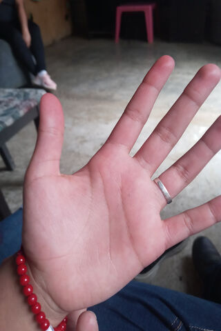 The Genesis of Connection: A Hand's Story