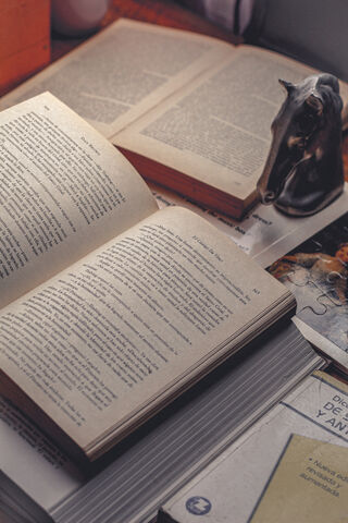 Whispers of Literature: A Cozy Reading Nook 📚✨