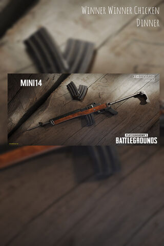 The Mini14: Your Key to Victory in PUBG! 🎮🏆