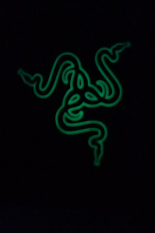 Razer's Glowing Emblem: A Gamer's Delight! 🎮✨