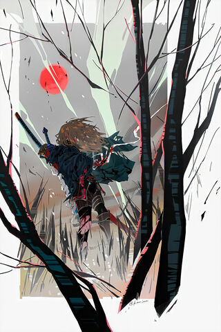 Zelda: The Hero's Awakening 🌌⚔️